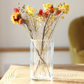 Wazon szklanego cylindra przezroczysty proste wazony z kwiatami
